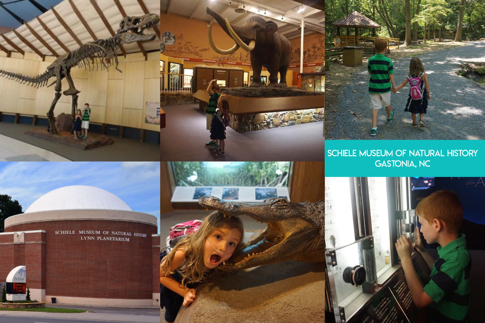 Learn the secret to saving thousands of dollars on visiting fun and educational places all across the nation, and even internationally, including zoos, aquariums, children’s museums, and science museums with the magic of reciprocal museum membership.