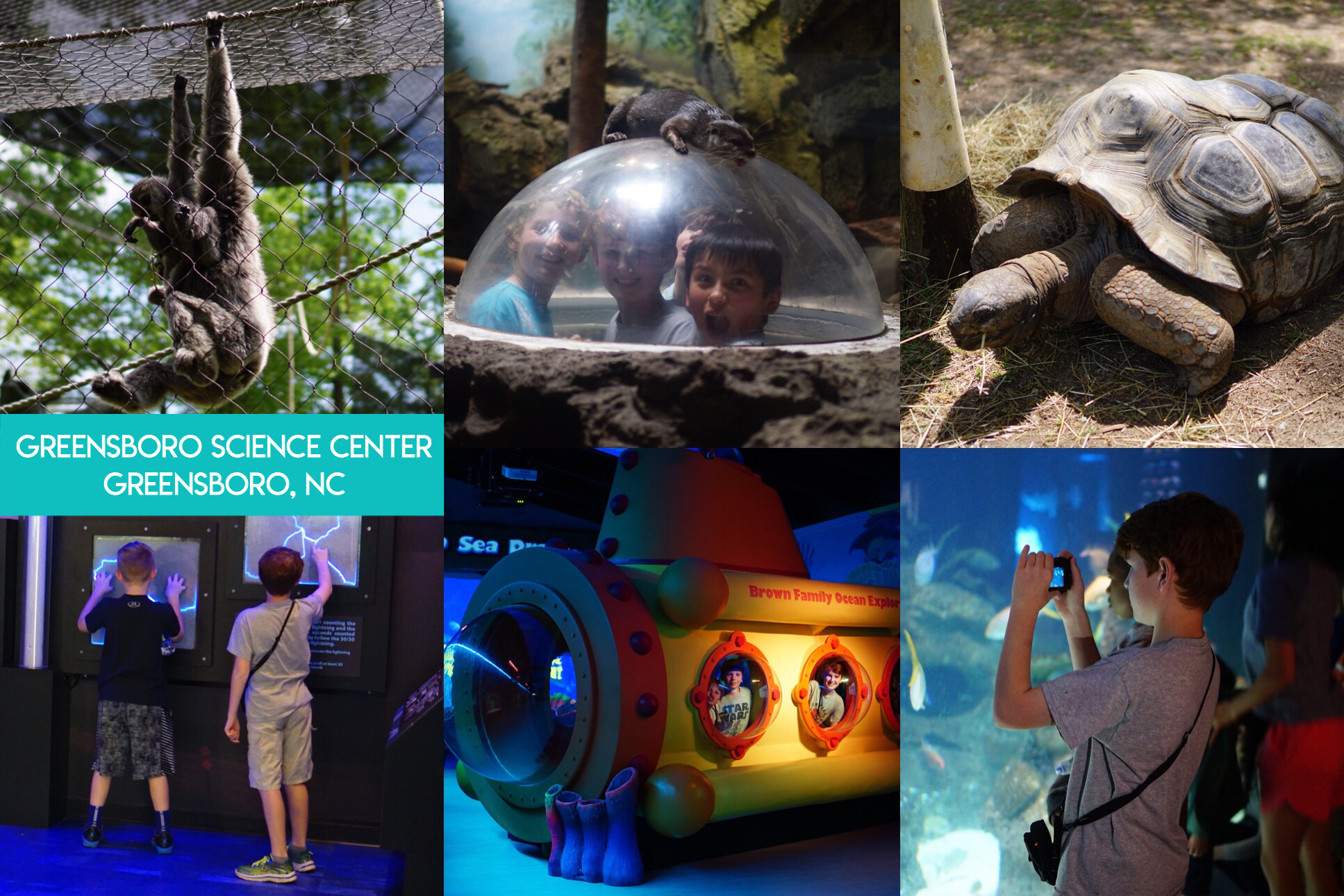 Learn the secret to saving thousands of dollars on visiting fun and educational places all across the nation, and even internationally, including zoos, aquariums, children’s museums, and science museums with the magic of reciprocal museum membership.