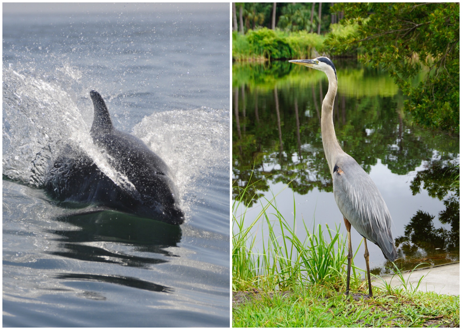 Hilton Head Getaway Guide - With miles of Atlantic windswept beaches, tranquil waterways and marshes, ample outdoor activities and a wide choice of hotel and vacation rental options, Hilton Head is an alluring vacation destination for anyone seeking to get away. Here are 9 ways to unwind on the island...