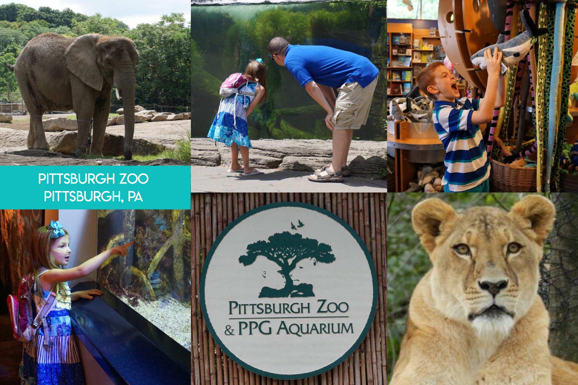 Learn the secret to saving thousands of dollars on visiting fun and educational places all across the nation, and even internationally, including zoos, aquariums, children’s museums, and science museums with the magic of reciprocal museum membership.