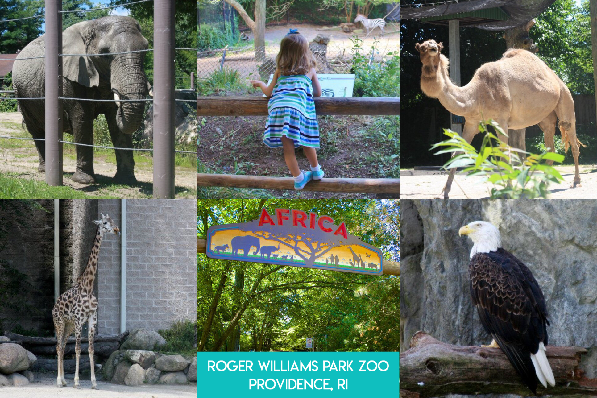 Learn the secret to saving thousands of dollars on visiting fun and educational places all across the nation, and even internationally, including zoos, aquariums, children’s museums, and science museums with the magic of reciprocal museum membership.