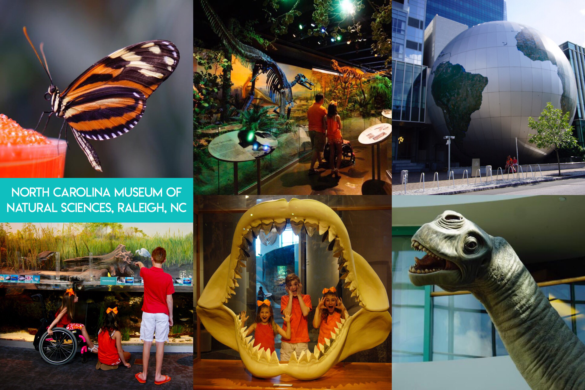 Learn the secret to saving thousands of dollars on visiting fun and educational places all across the nation, and even internationally, including zoos, aquariums, children’s museums, and science museums with the magic of reciprocal museum membership.