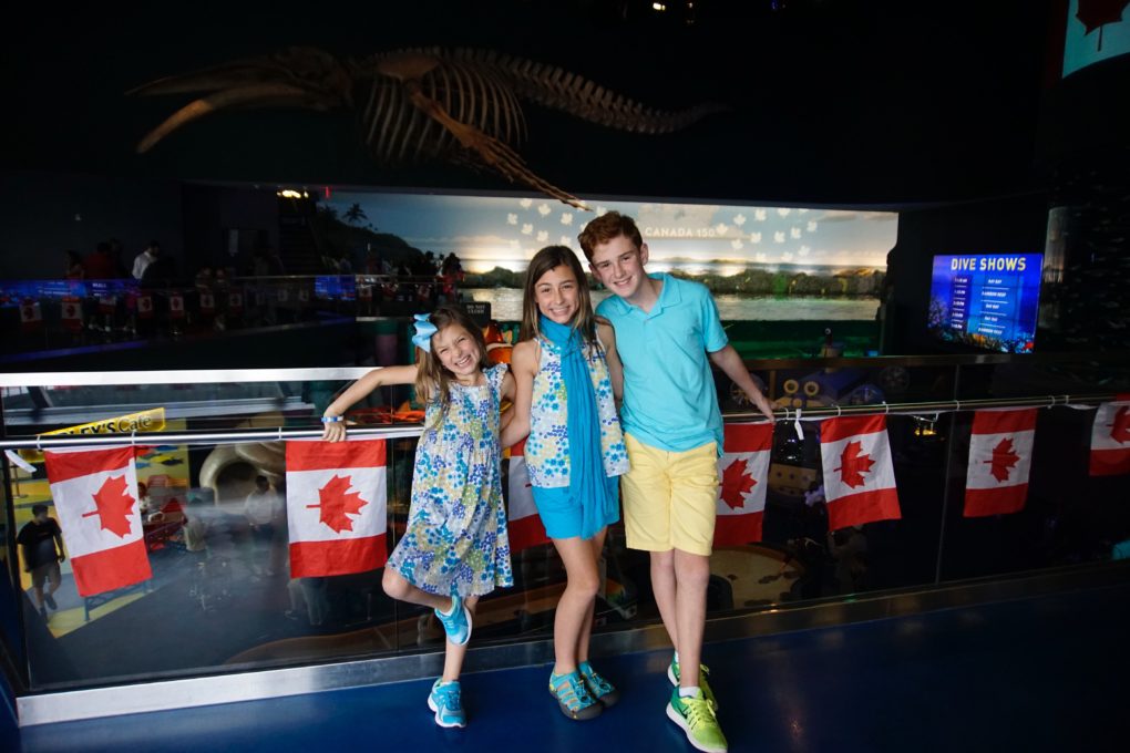 Planning a trip to Toronto with kids? Canada’s largest city has so much to offer. Here are 5 fun things to do with kids in Toronto using CitiPASS.