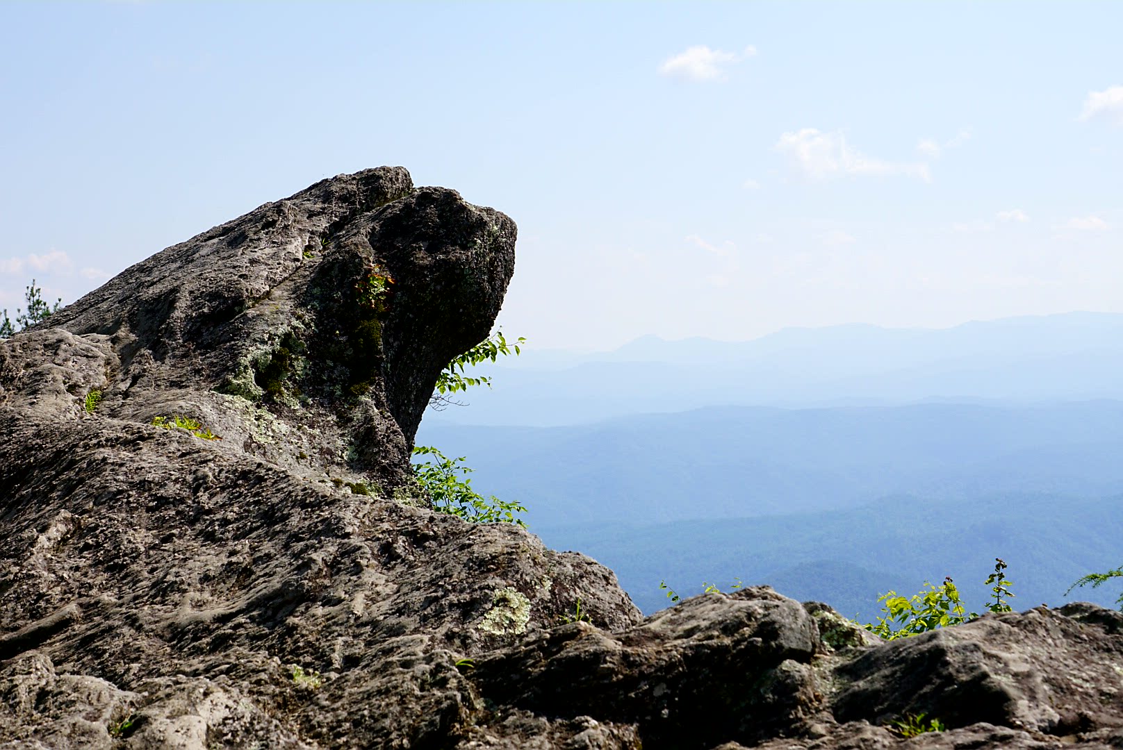 Charlotte is the perfect base for day trips with kids throughout the Carolinas! Explore diverse landscapes, rich history, attractions, & temperate climate.