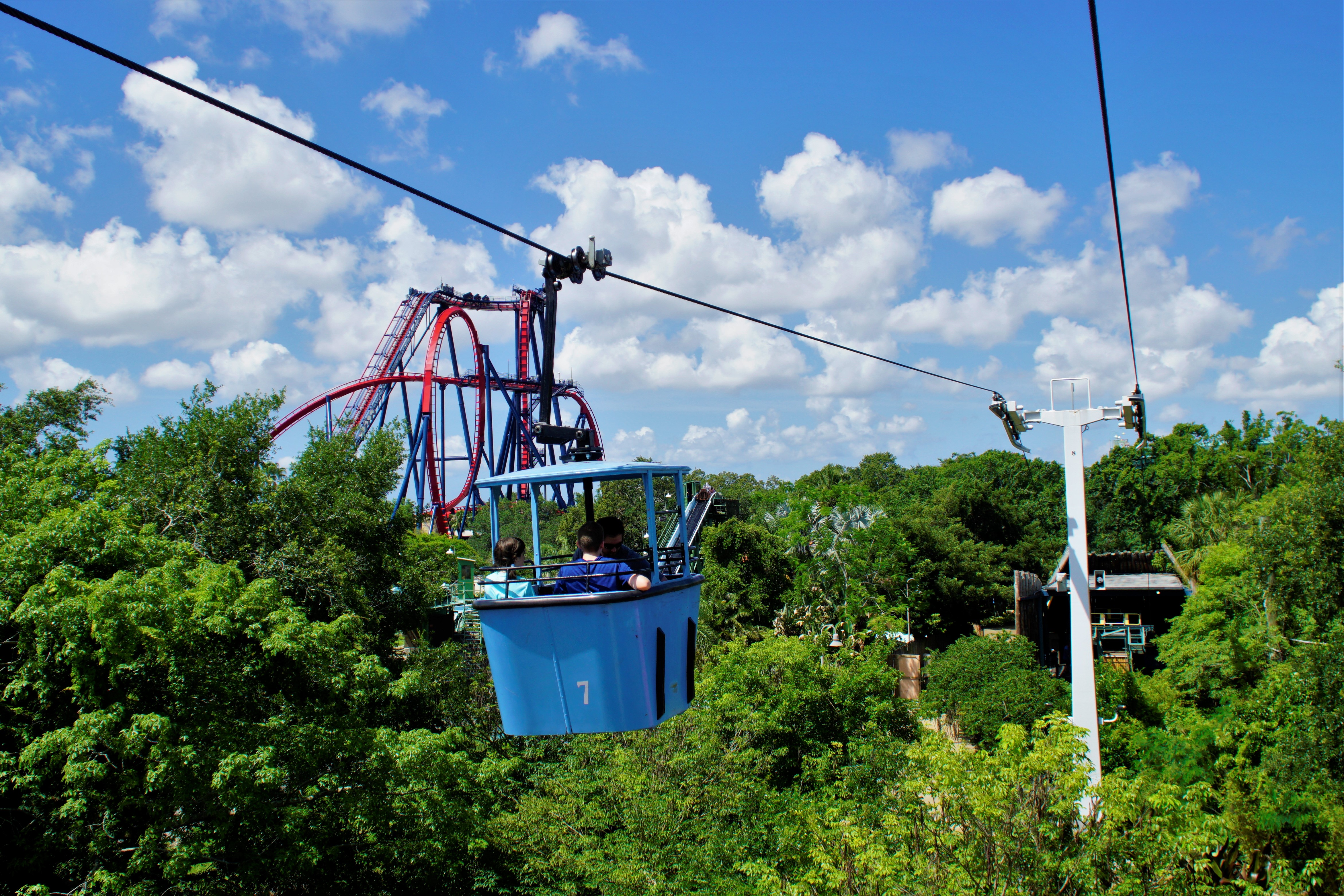 The best of Busch Gardens thrill rides, family attractions, animal encounters, live shows and even where to eat, in one handy guide!