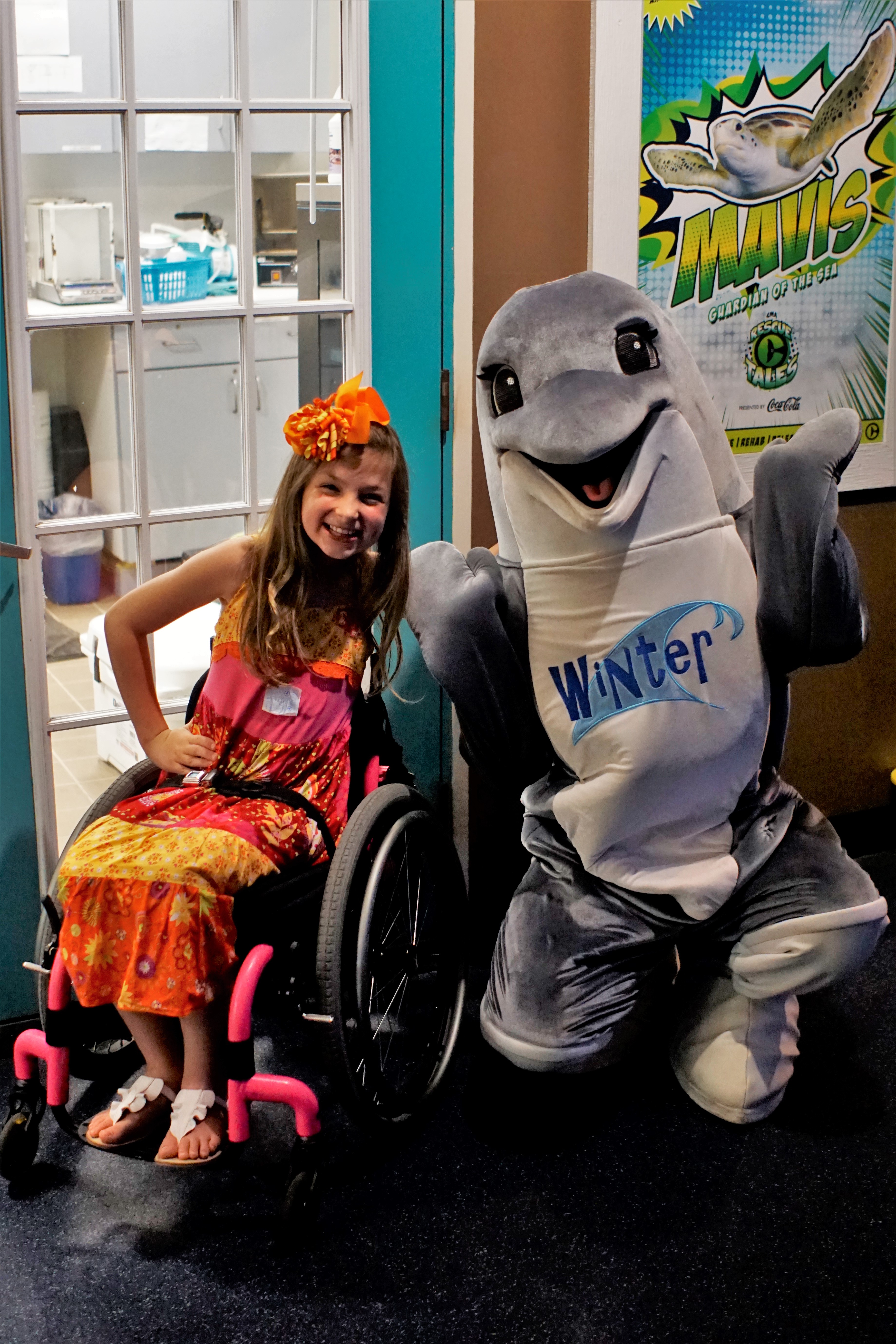 Clearwater Aquarium -Looking for some family fun in Florida? Here’s how have a terrific time in Tampa with kids and how you can save some big money on your visit.