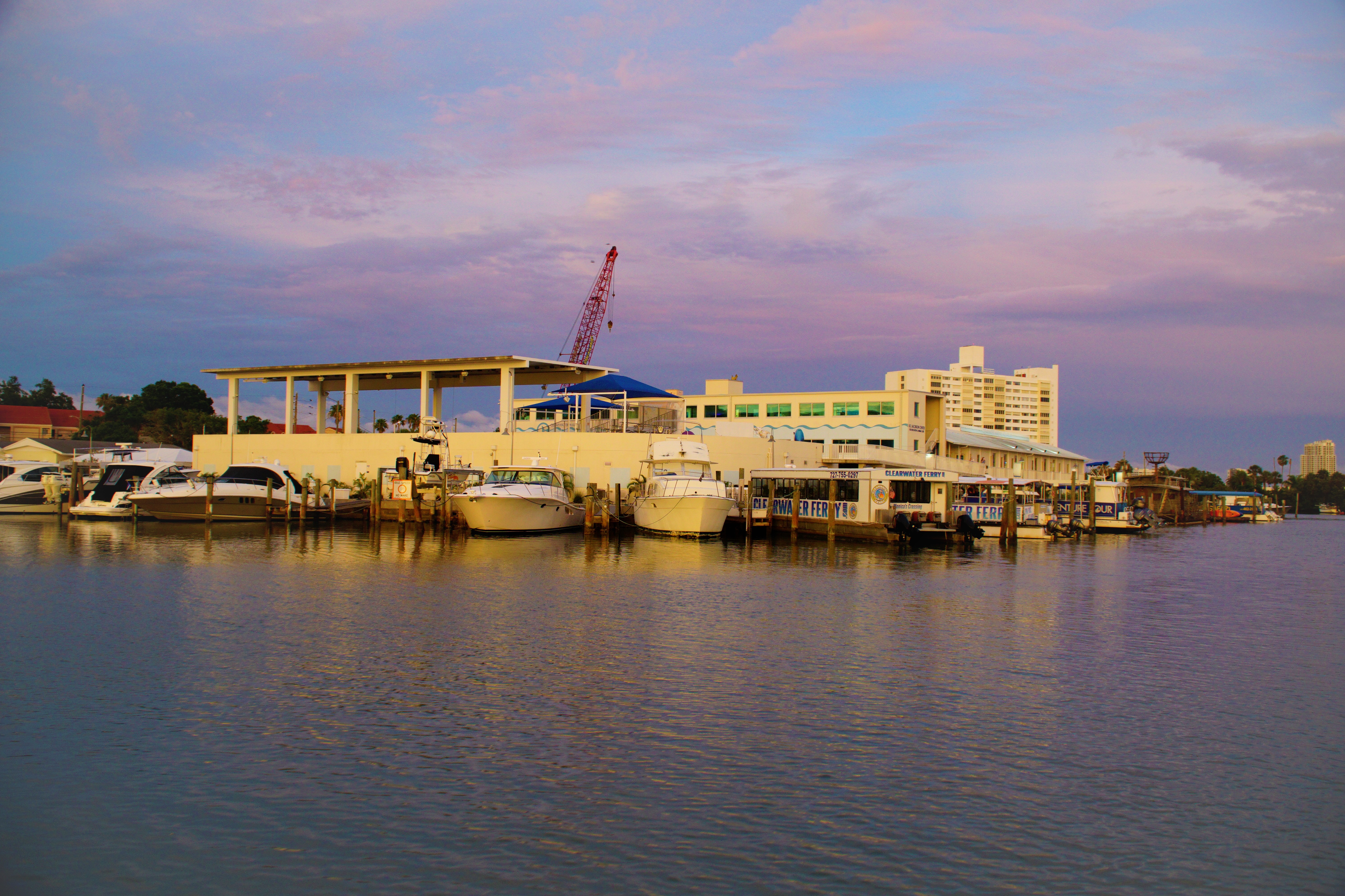 Clearwater Aquarium -Looking for some family fun in Florida? Here’s how have a terrific time in Tampa with kids and how you can save some big money on your visit.