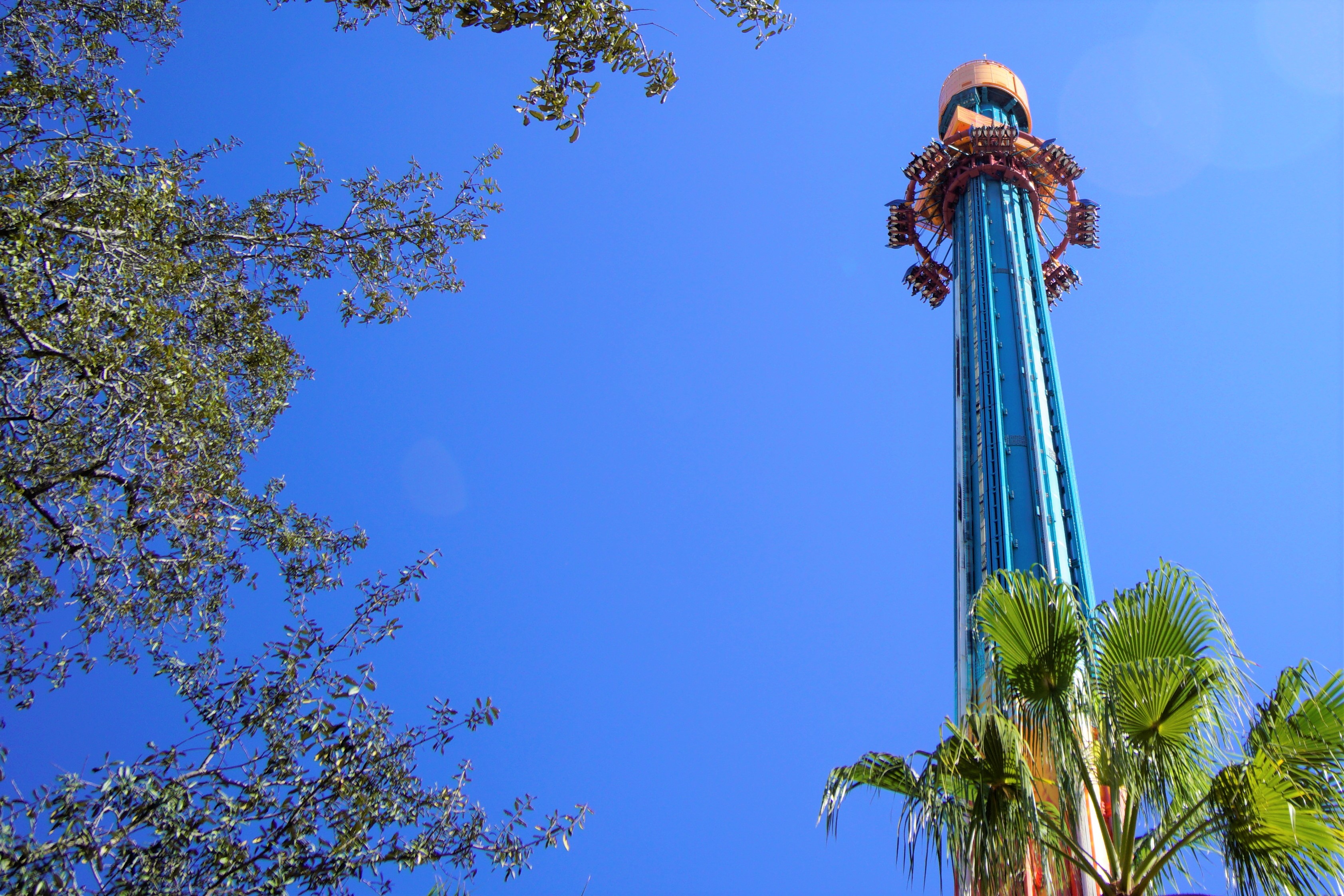 The best of Busch Gardens thrill rides, family attractions, animal encounters, live shows and even where to eat, in one handy guide!