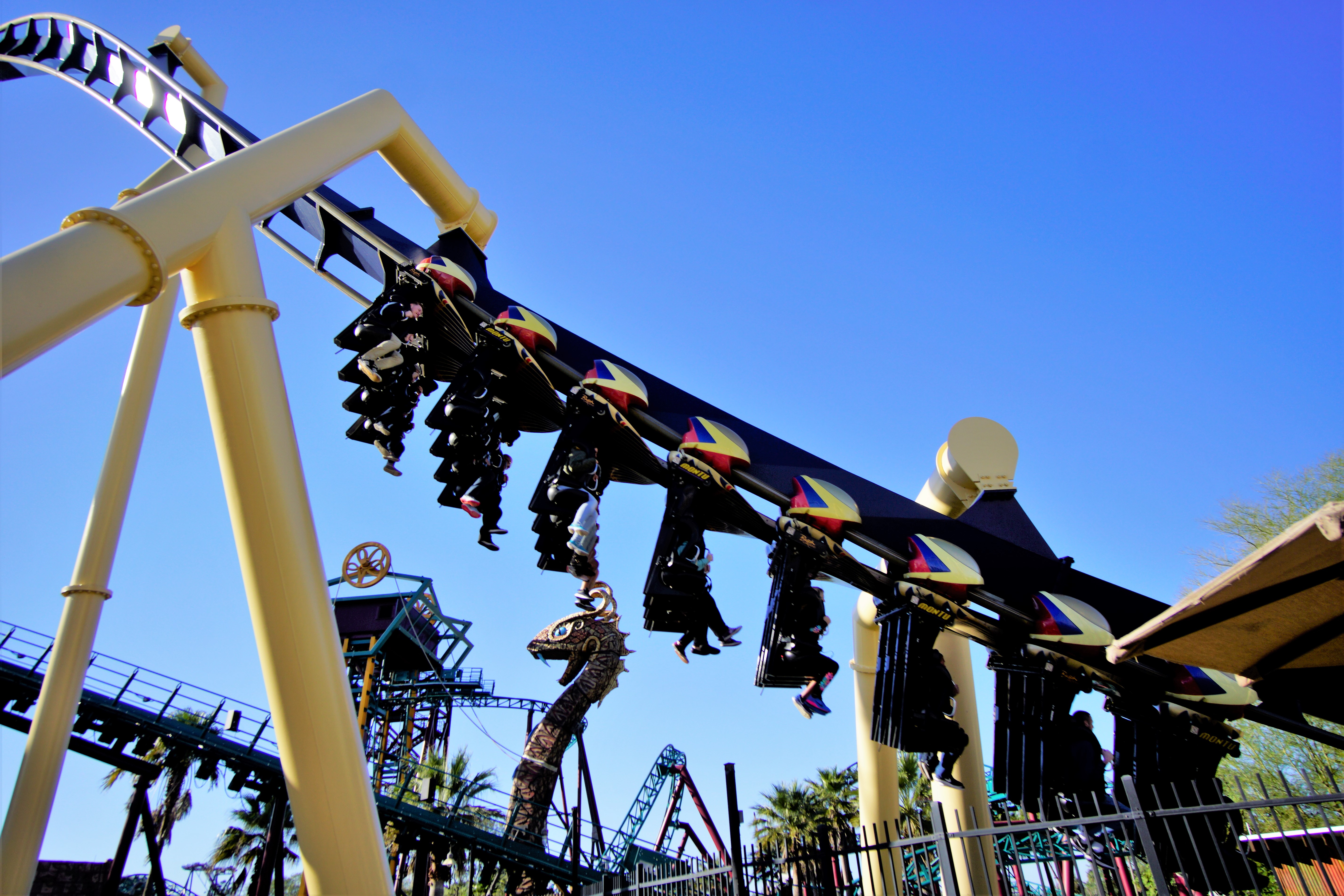 The best of Busch Gardens thrill rides, family attractions, animal encounters, live shows and even where to eat, in one handy guide!