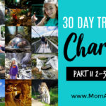 Charlotte is the perfect base for day trips with kids throughout the Carolinas! Explore diverse landscapes, rich history, attractions, & temperate climate.