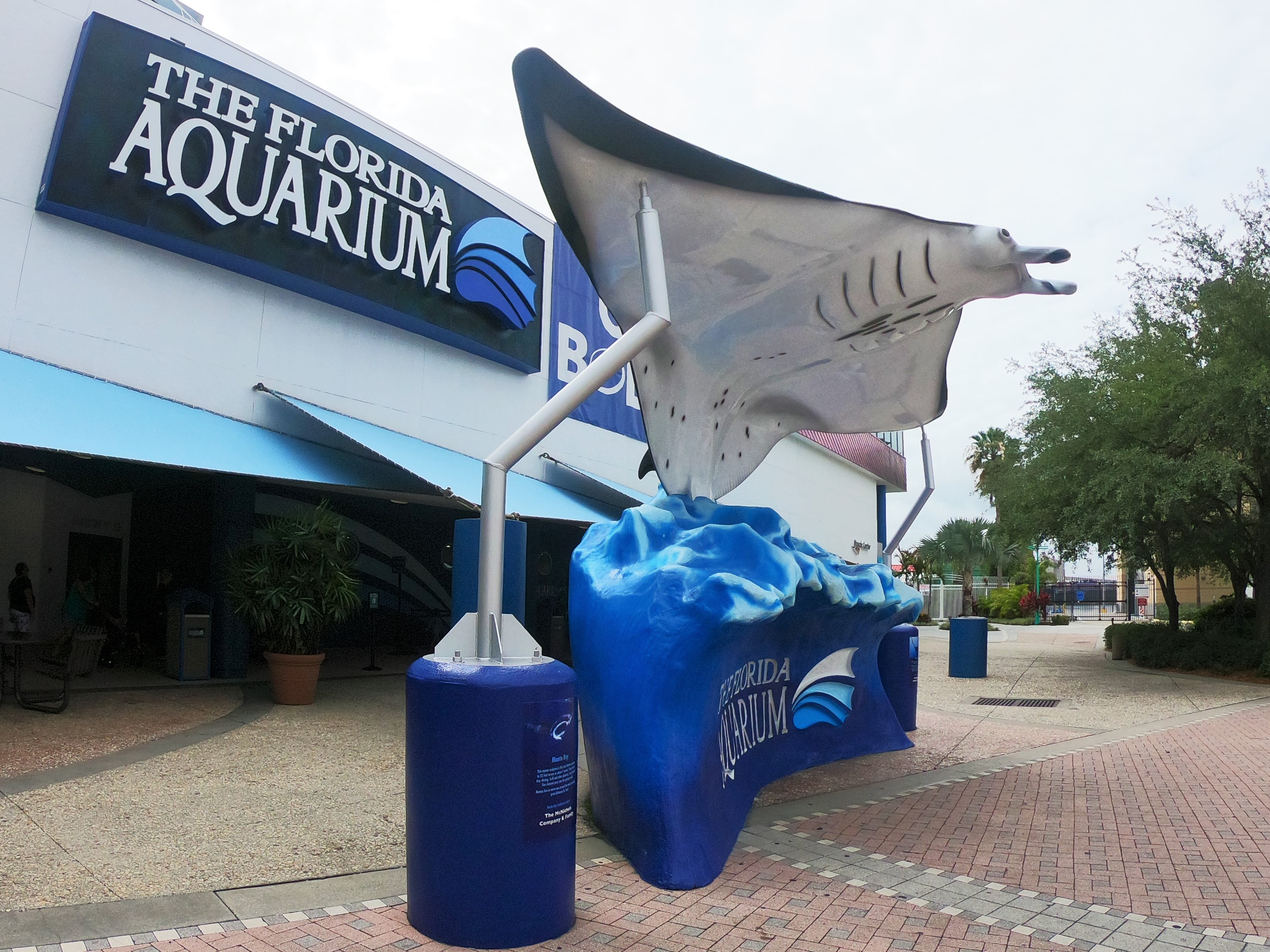 Florida Aquarium -Looking for some family fun in Florida? Here’s how have a terrific time in Tampa with kids and how you can save some big money on your visit.