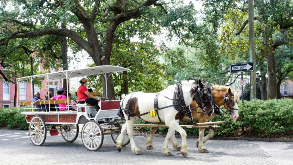 From iconic historic sites and tours to fantastic food and cultural attractions, here’s how to spend 4 fun days in Savannah with kids!