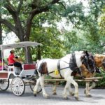 From iconic historic sites and tours to fantastic food and cultural attractions, here’s how to spend 4 fun days in Savannah with kids!