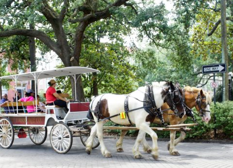 From iconic historic sites and tours to fantastic food and cultural attractions, here’s how to spend 4 fun days in Savannah with kids!