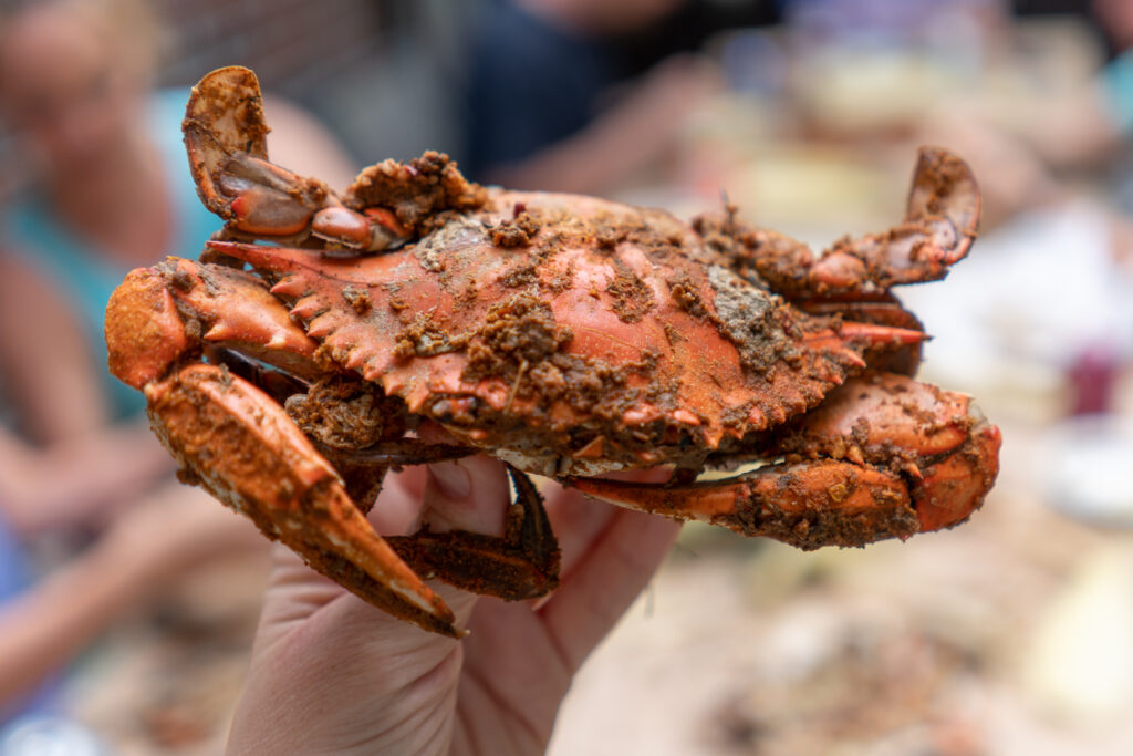 Crab covered in Old Bay Seasoning. There’s something so fun about cracking open crab shells and making a big ole mess as you scoop up the delicious catch. 