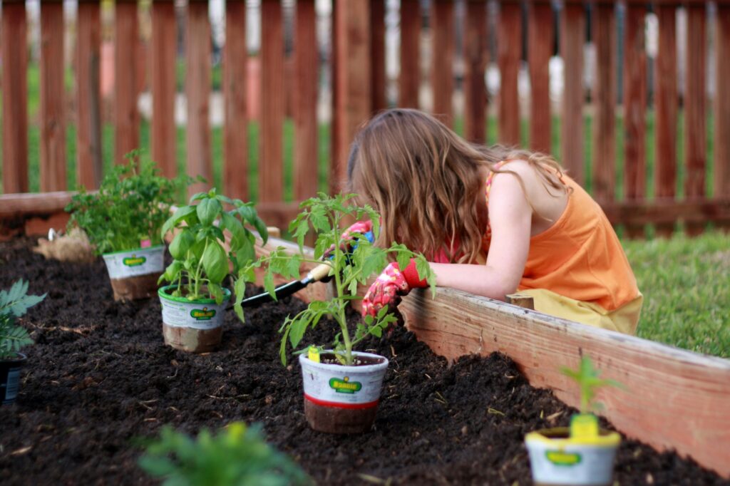 Young girl works on planting plants in raised bed garden. Use this summer to plant your own container garden or raised bed garden full of your favorite veggies, fruits, lettuces and herbs. Then once it grows, use your new ingredients in your family's favorite recipes.