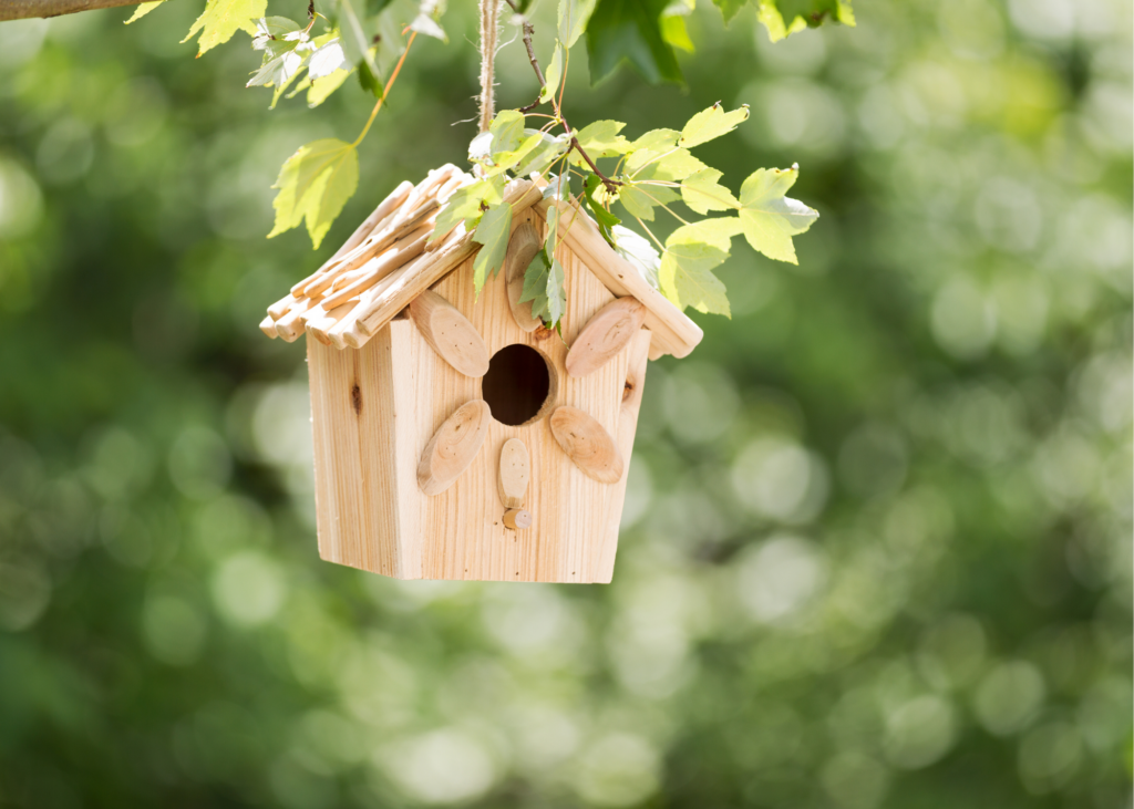 Wooden bird feeder hanging from tree. Make bird feeders out of pine cones, peanut butter and bird seed or use a ready-made bird house craft kit. Then head to Audubon.org to identify them. - Safe Summer Bucket List – 100 Ways to Have Fun This Summer While Social Distancing